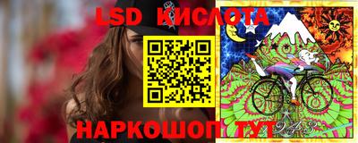 скорость Новозыбков