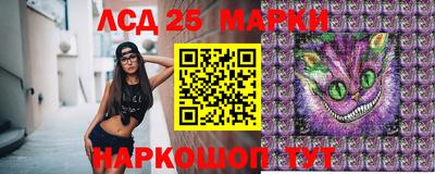 альфа пвп Новодвинск