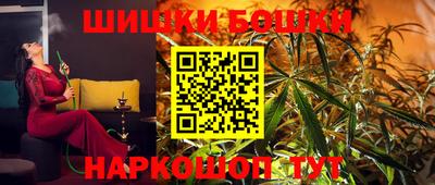 скорость Новозыбков
