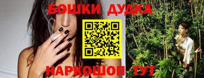альфа пвп Новодвинск