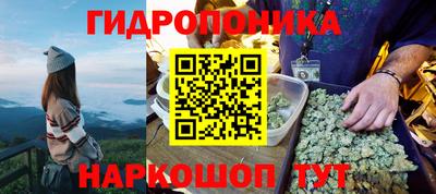 скорость Новозыбков