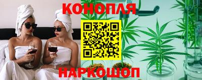 скорость Новозыбков