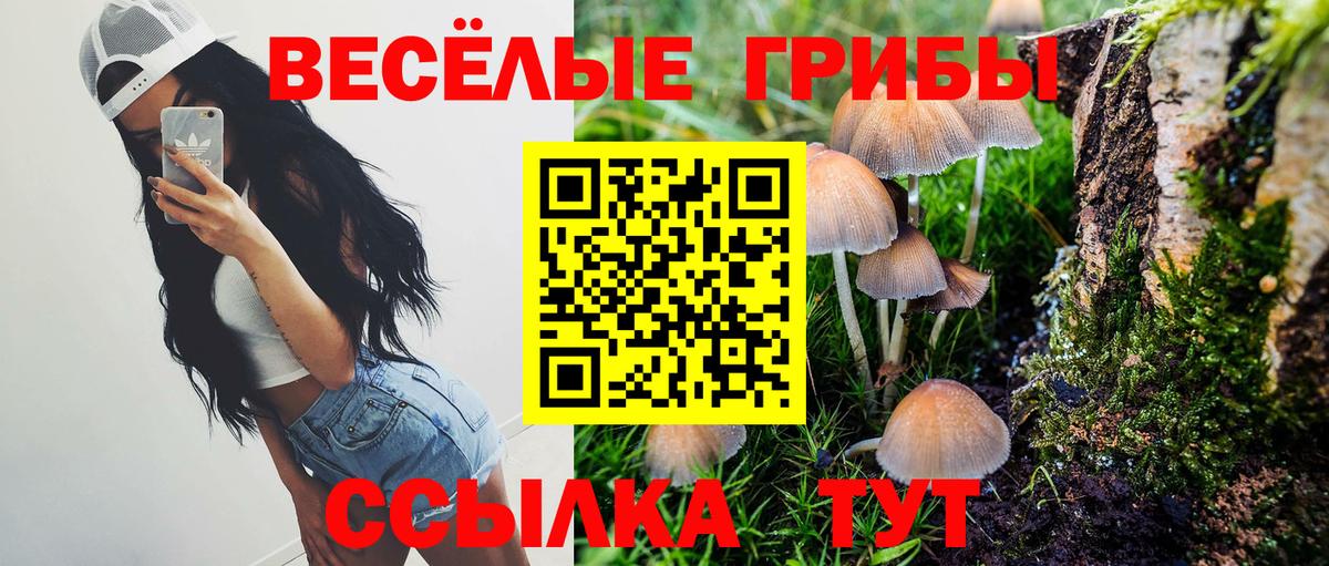 Галлюциногенные грибы GOLDEN TEACHER  Вход с VPN  Саяногорск 