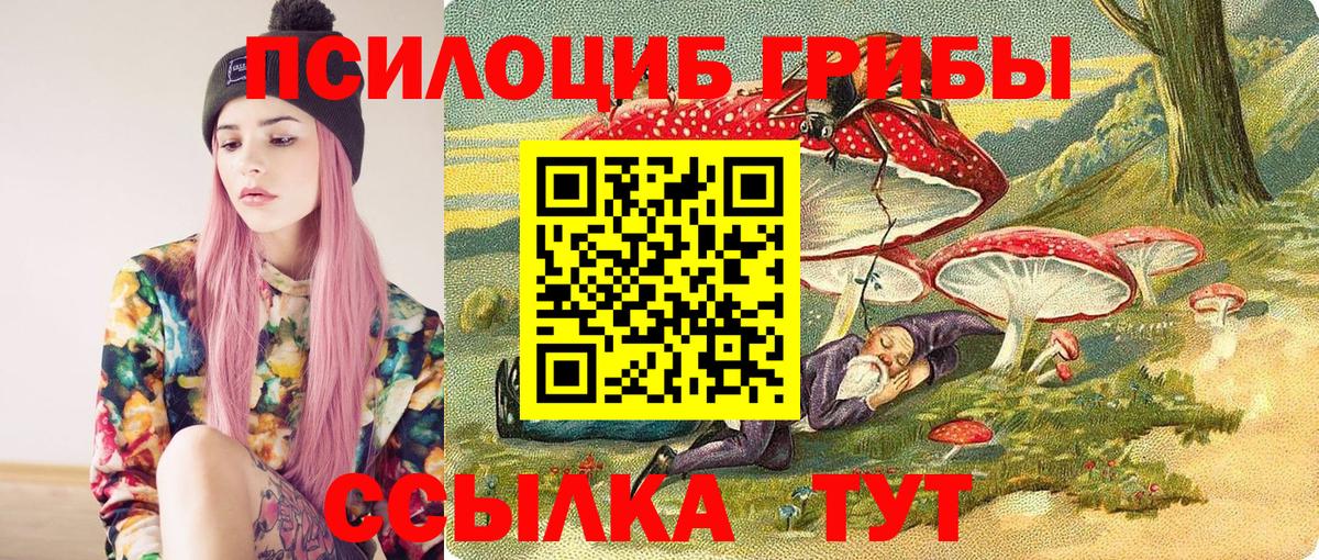 Галлюциногенные грибы Cubensis Саяногорск